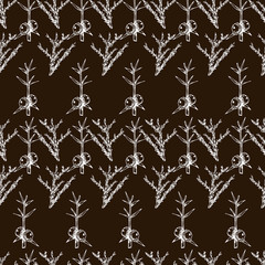 Botanical seamless pattern in vintage style. Various leaves of ferns, cones, horsetail, calamus, sow thistle, wheat grass, holly. Vector engraving black and white illustration.