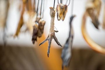 Magic amulets from paws and teeth of animals hang on laces on the stand at the fair.