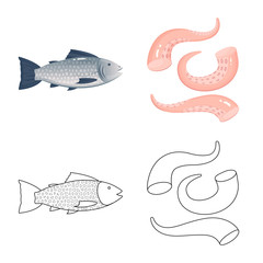 Vector design of fresh and restaurant icon. Collection of fresh and marine vector icon for stock.