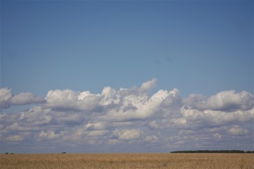 landscape with blue sky and clouds