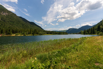 Naklejka premium Ufer am Pillersee im Pillerseetal