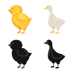 Vector illustration of breeding and kitchen sign. Set of breeding and organic stock vector illustration.