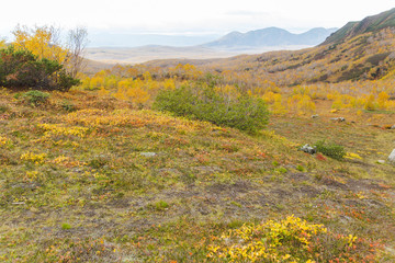 Naklejka premium Beautiful autumn landscape in mountains in Kamchatka
