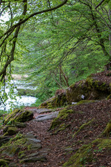 Nationalpark Thayatal in Austria
