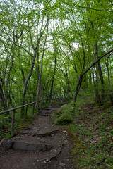 Nationalpark Thayatal in Austria