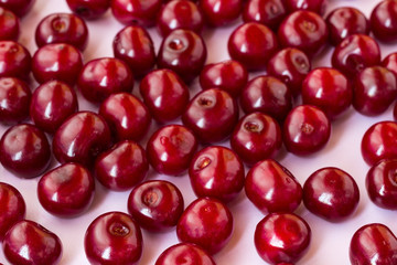 Berries of a cherry close up on a white background