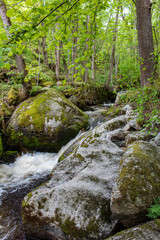 Naklejka na ściany i meble Ysperklamm in Austria, Waterfalls in Nature