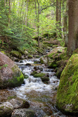 Ysperklamm in Austria, Waterfalls in Nature