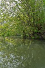 Alençon, France - 04 22 2019:  Navigation on the river Sarthe. Trees' Reflections 