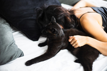 An unidentifiable woman wearing a silk nightgown lies in bed while caressing a black cat with bright green eyes