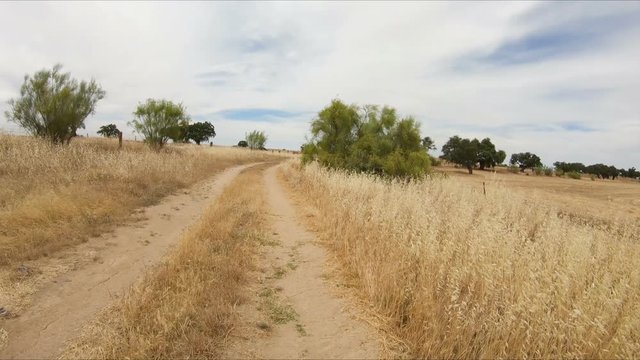 a rural path between Fuente la Lancha and Hinojosa del Duque, province of Cordoba, Andalusia, Spain