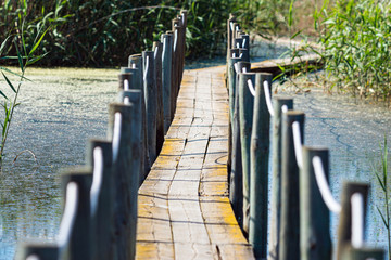 Pasarela de madera sobre el agua del humedal