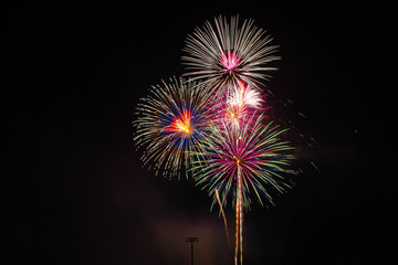 fireworks in the night sky