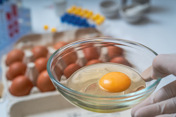 Scientist holds bowl with yolk. Food quality control concept.