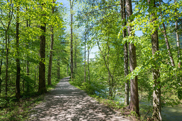 Naklejka premium schöner Spazierweg entlang der Rottach im Frühling unter schattigen Bäumen