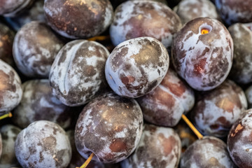 Counter with black plums in the store, plums in the supermarket.