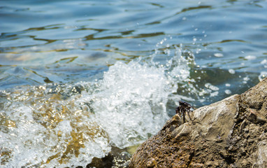View of the blue water of the Black sea and coastal cliffs on the coast