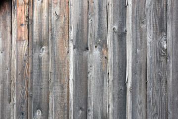 Fototapeta premium Holz. Textur - Hintergrund