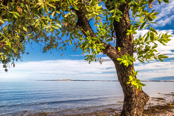 Sea landscape with islands on background. View from Privlaka village in the Zadar County of Croatia, Europe.