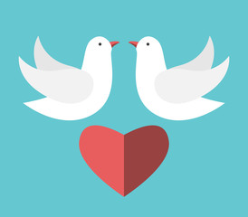 Two white doves, heart