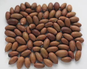 Many acorns oak close-up on white background, top view