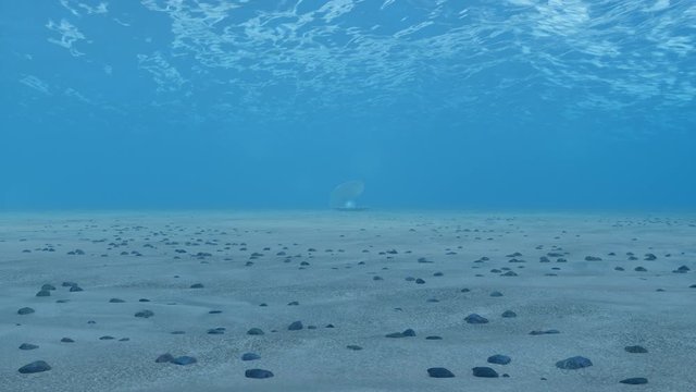 Pearl inside a seashell. Beautiful pearl in the shell on the seabed. Rays of sunlight shining from above penetrate deep clear blue water. Caustic effect in the seabed. Sunlight beams underwater. 4K