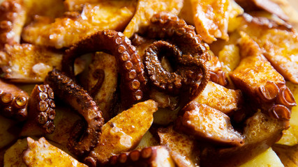 Galician octopus spanish tapas.