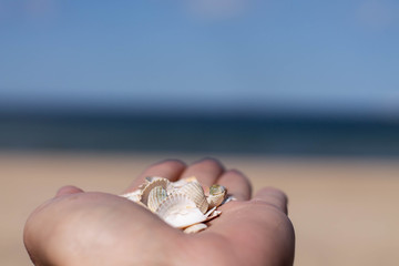sea hand children beach choldhood 