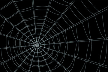 concentric white web on a gray background