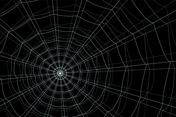 concentric white web on a gray background