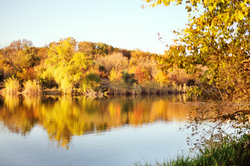beautiful autumn landscape - trees with yellow leaves on the background of a Park, pond , river or...