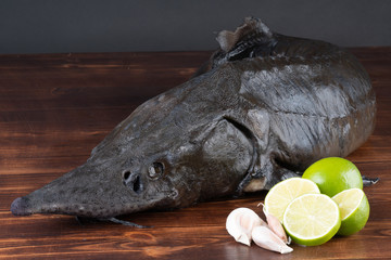 Fresh raw sturgeon fish on the table with lemon pepper garlic. clouse up.