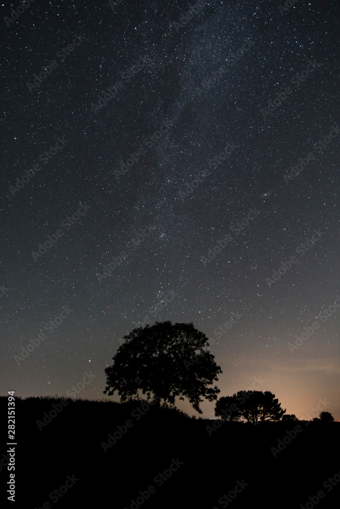 Wall mural starry sky over fields with tree silhouette in cornwall, uk