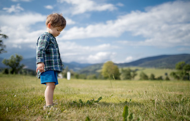Naklejka na ściany i meble toddler boy stay on a meadow in a Mountains