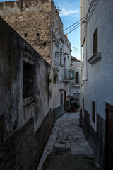 In the center of the old town