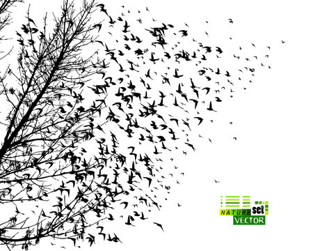 The silhouette of a tree with birds flying. Vector illustration