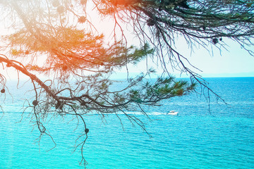 beautiful nature by the sea on nature in the park background