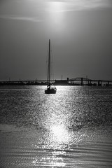 The sun shines down on a sailboard during early morning