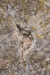 Marode und feuchte Hauswand