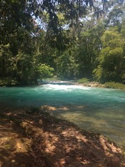 Cascadas de Agua Azul