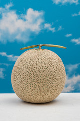 高級マスクメロン　Fresh high quality cantaloupe