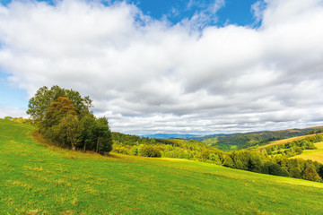 beautiful countryside in mountain. trees on grassy hills. sunny september weather with cloudy sky. wonderful nature background