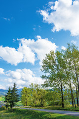 beautiful countryside in mountain. aspen trees along the road. wonderful september weather in afternoon