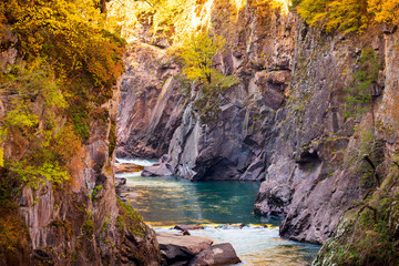 Obraz premium Fall landscape with mountain river and forest