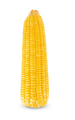 Corn cob on white background