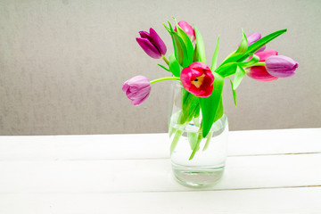 Copy space with beautiful pink and purple tulips with green leaves bouquet in a transparent glass vase on white wooden table on gray background