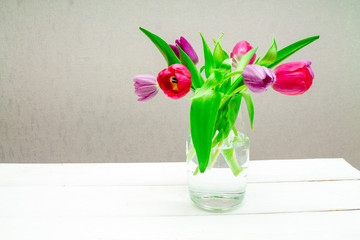 Copy space with beautiful pink and purple tulips with green leaves bouquet in a transparent glass vase on white wooden table on gray background