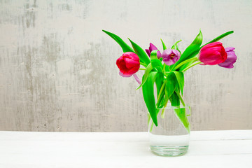 Copy space with beautiful pink and purple tulips with green leaves bouquet in a transparent glass vase on white wooden table on gray background