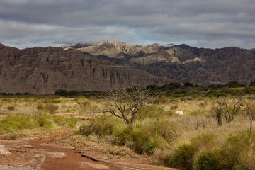 landscape in mountains