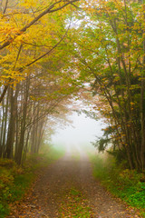 Gravel road in an early morning fog, Stowe, Vermont, USA